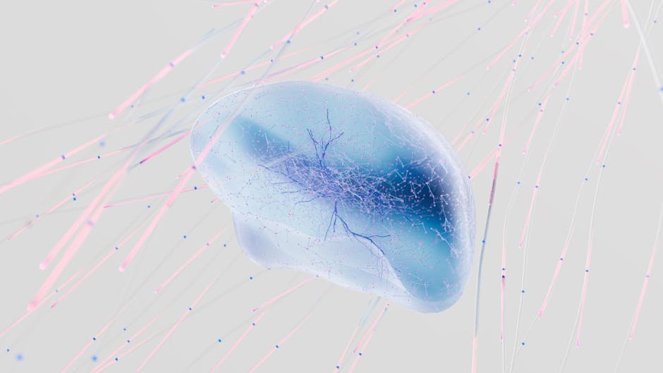 Neural network embeddings vector space visualization